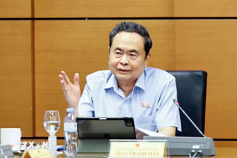 Chủ tịch Quốc hội Trần Thanh Mẫn, đại biểu Quốc hội Thành phố Hồ Chí Minh phát biểu. (Ảnh: Doãn Tấn/TTXVN)