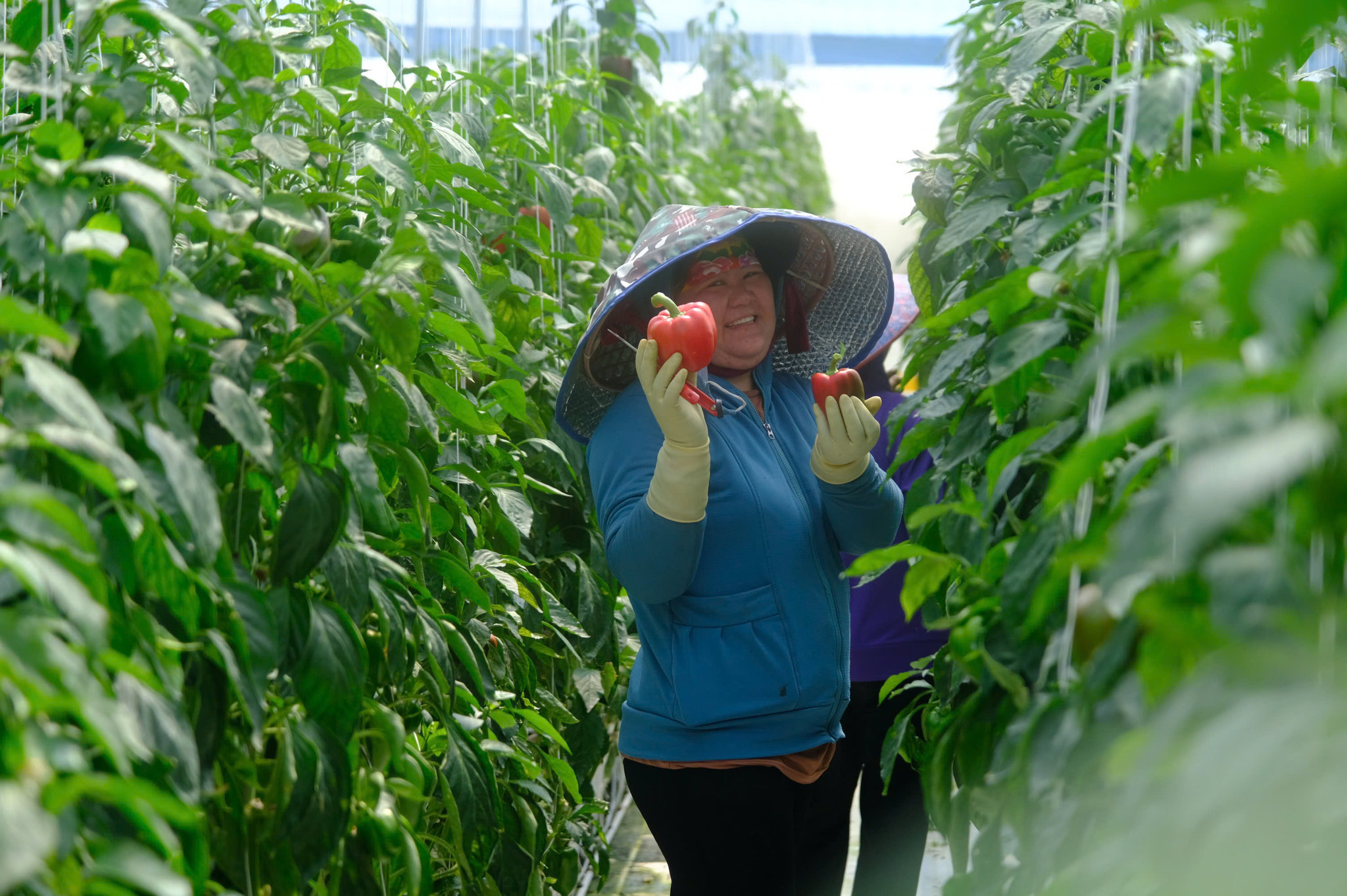 444.jpg