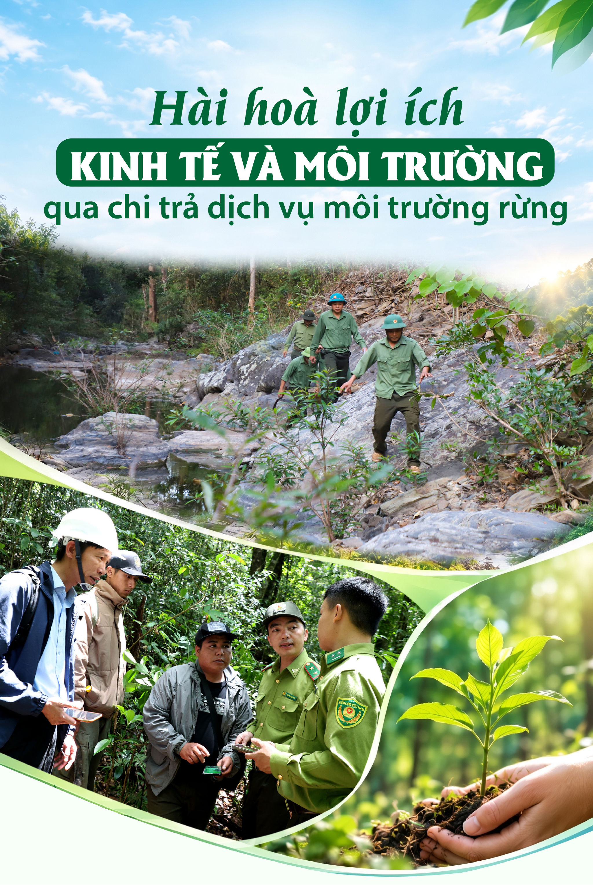 Hài hoà lợi ích kinh tế và môi trường qua chi trả dịch vụ môi trường rừng