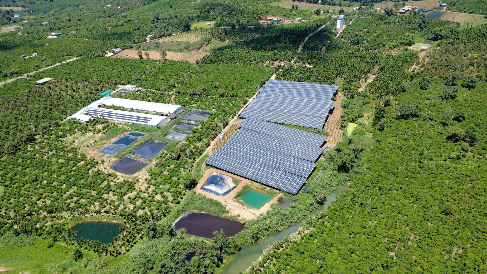 Rooftop solar combined with pig and chicken farming at a household in Krong No