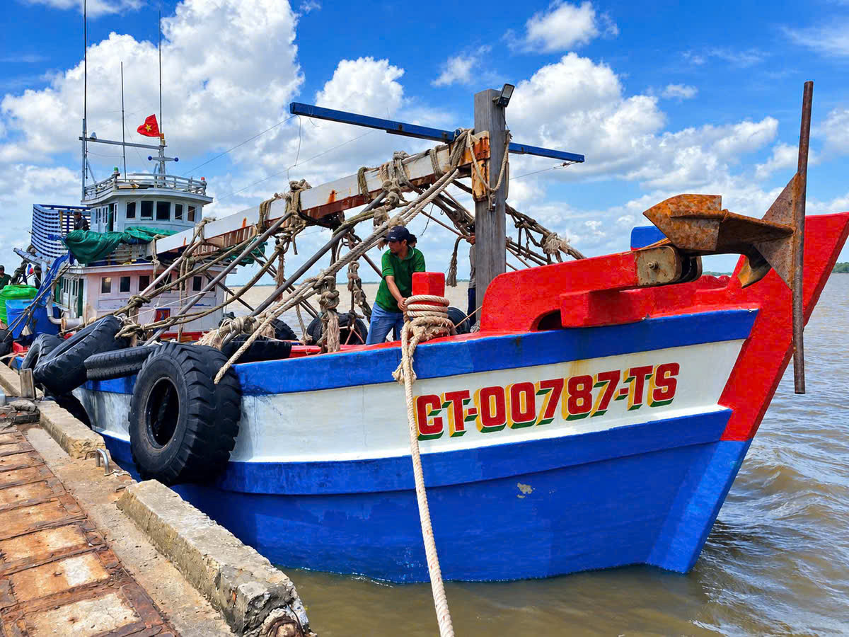 tàu hỗ trợ