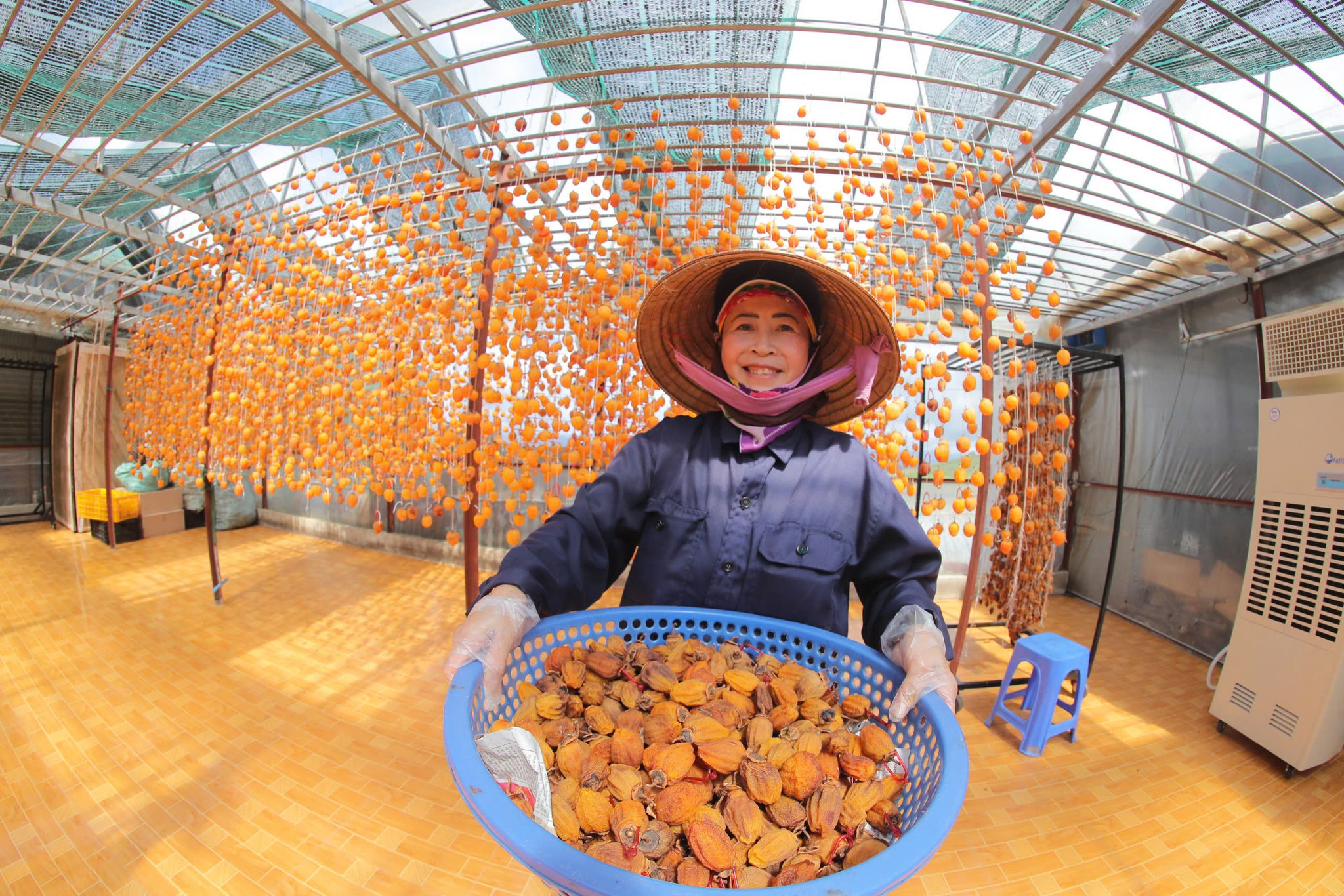 Thông qua mạng xã hội, hình ảnh hồng sấy được quảng bá rộng rãi, góp phần đưa sản phẩm trở thành đặc sản tiêu biểu của Đà Lạt.