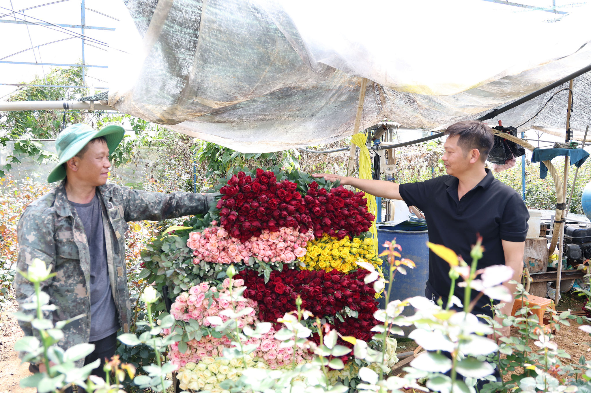 Lien ket trong hoa 4