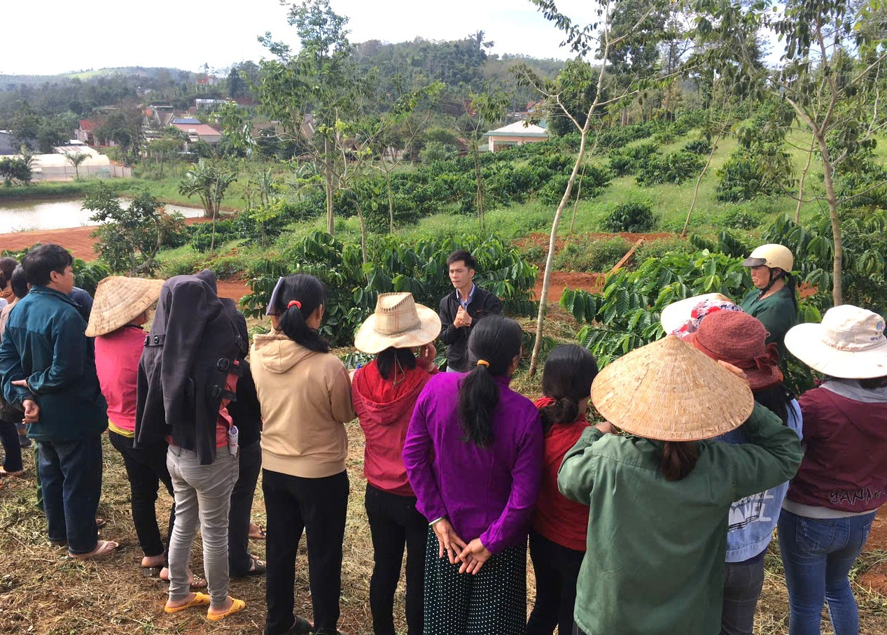 Thường xuyên tập huấn kỹ thuật canh tác hữu cơ tai HTX Nông nghiệp Đoàn Kết, xã Đức An (1)