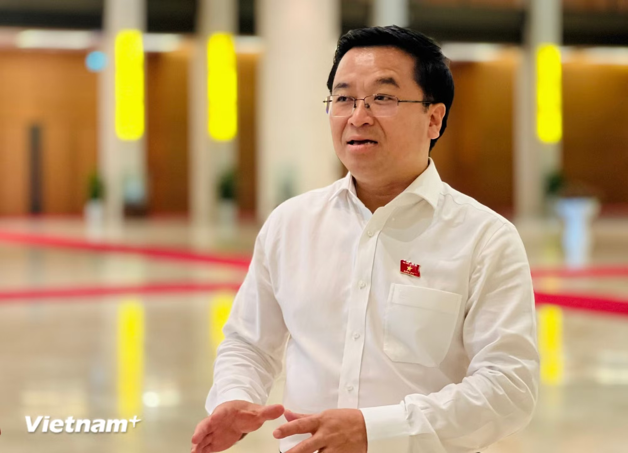 Phó Giáo sư, Tiến sỹ, Bí thư Đảng ủy, Hiệu trưởng trường Đại học Hải Phòng - đại biểu Quốc hội Bùi Xuân Hải. (Ảnh: Mai Anh/Vietnam+) vnp_bui-xuan-hai.jpg