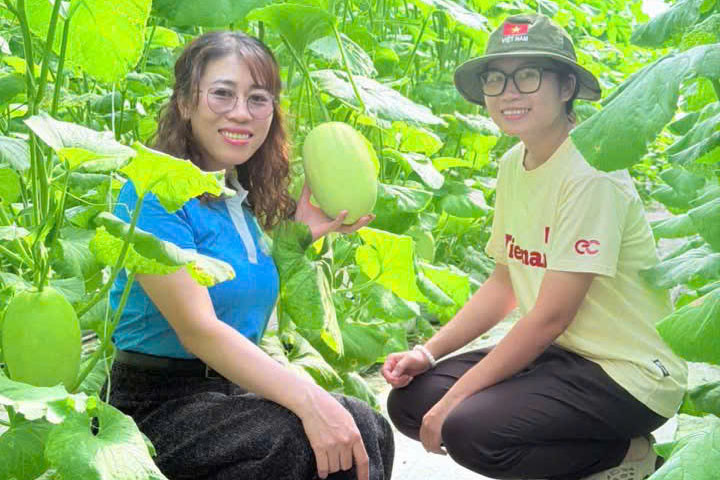 phu-nu-tham-quan-thuc-te-tai-vuon-dua-luoi-1-.jpg