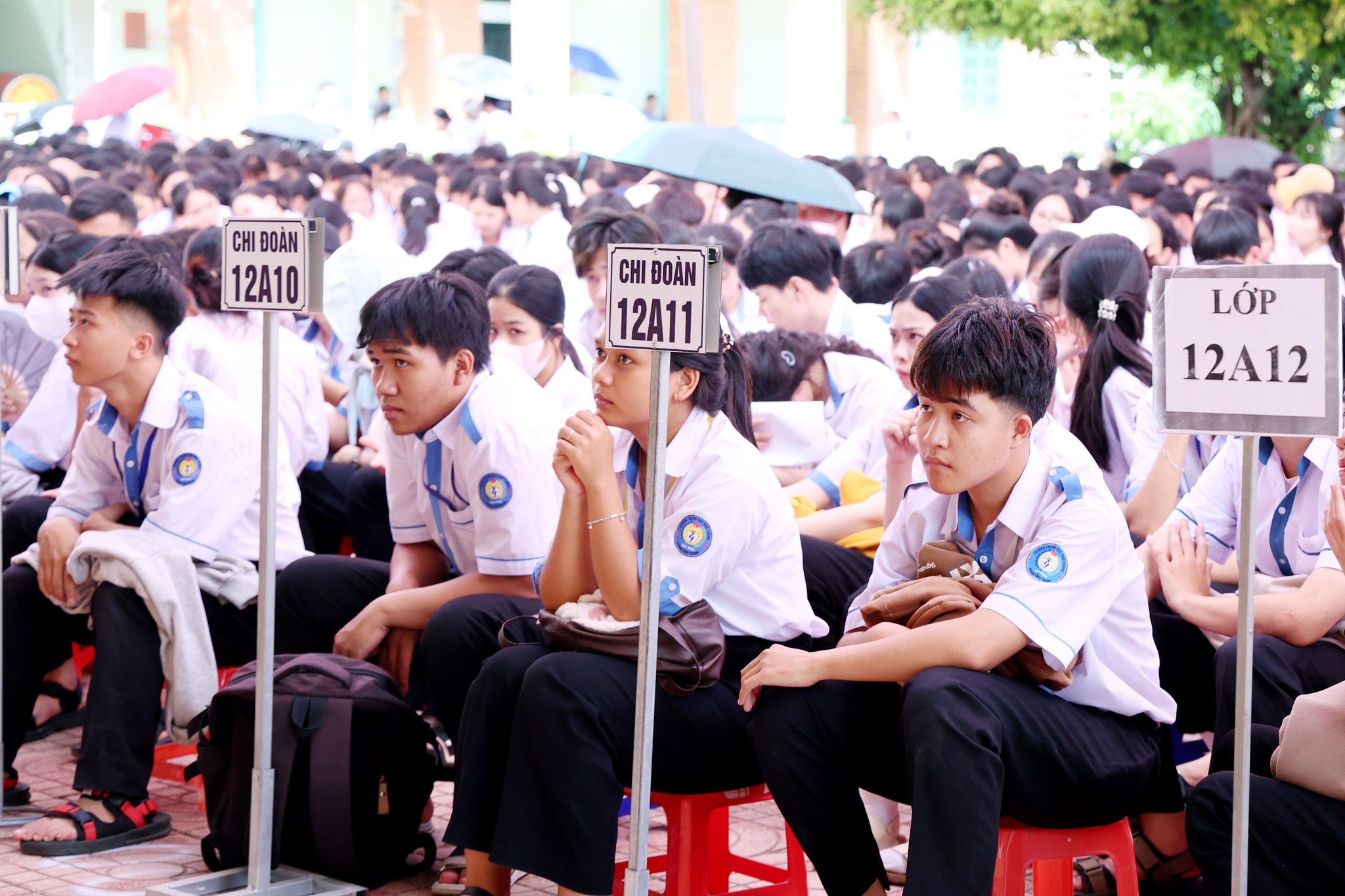 Tuyen truyen phap luat 5