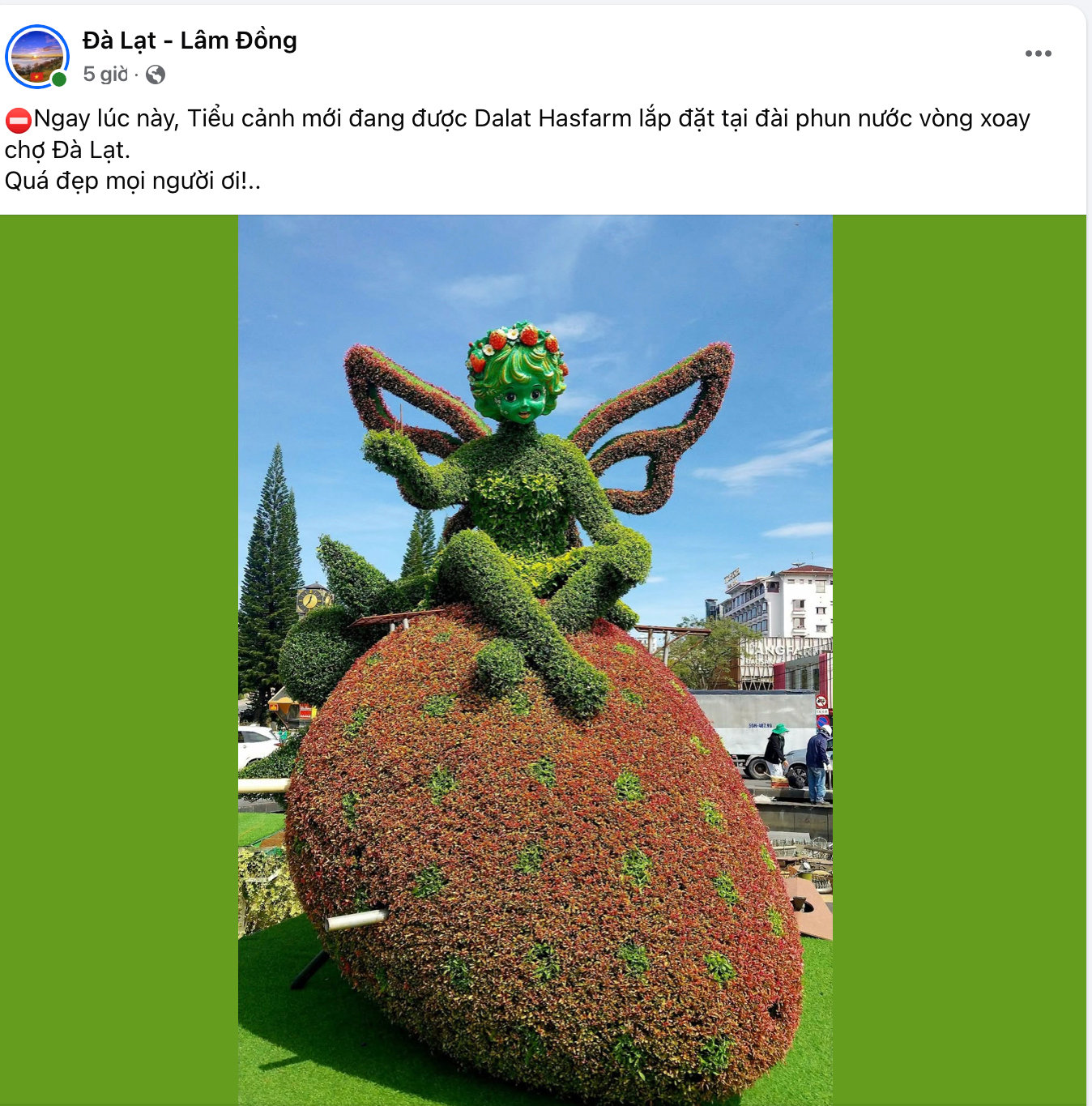 festival hoa 