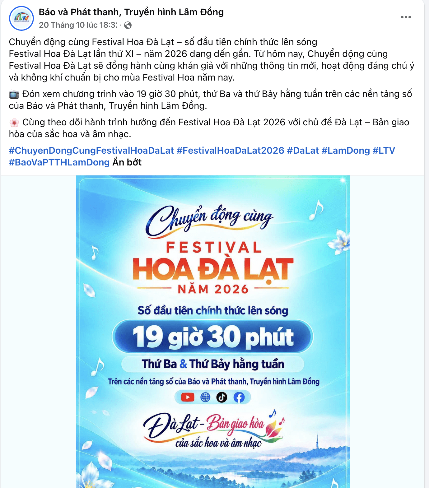 Festival hoa 1