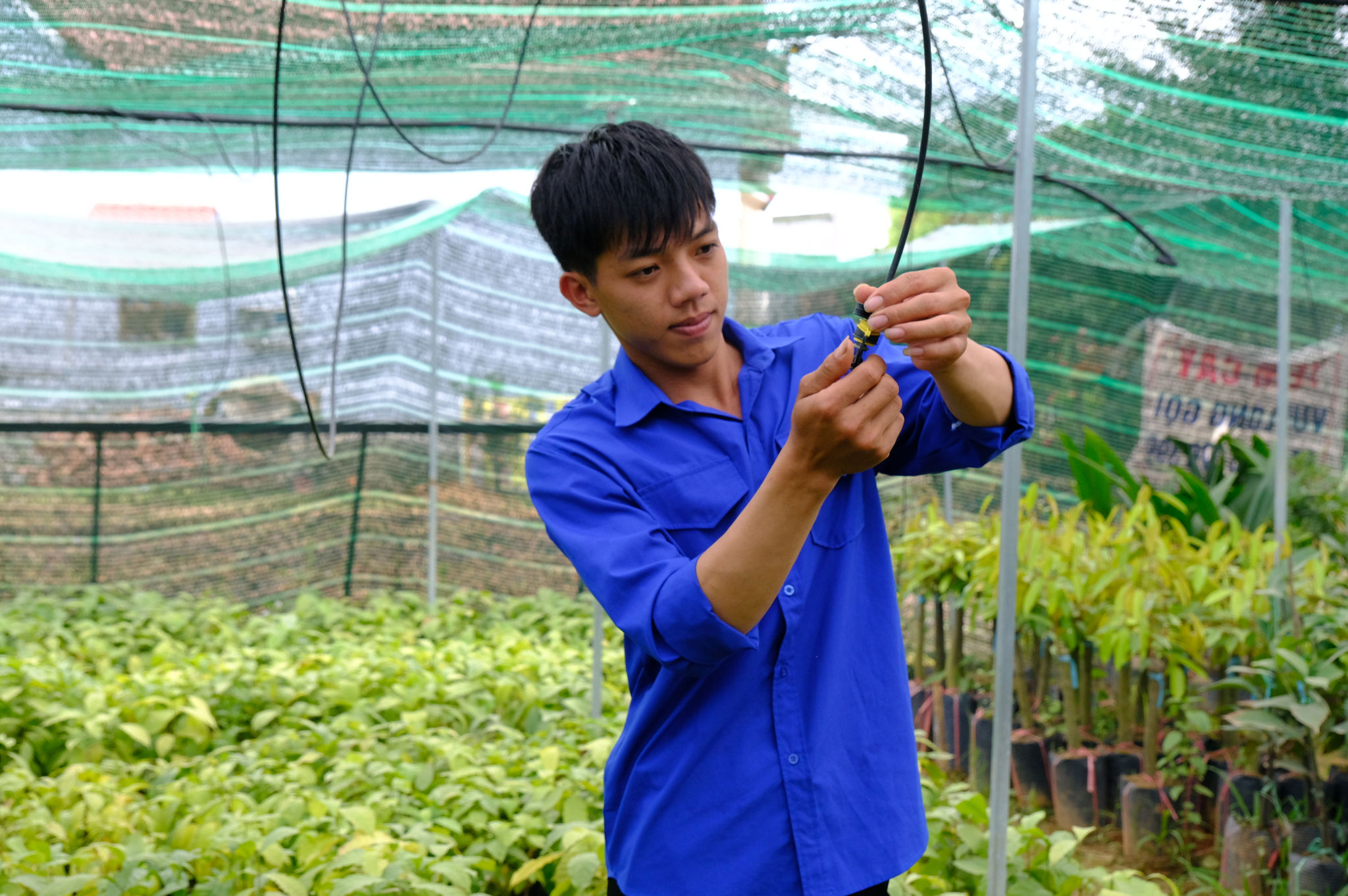 Phan Tiến Thành thuyết phục gia đình để ứng dụng công nghệ vào trong sản xuất