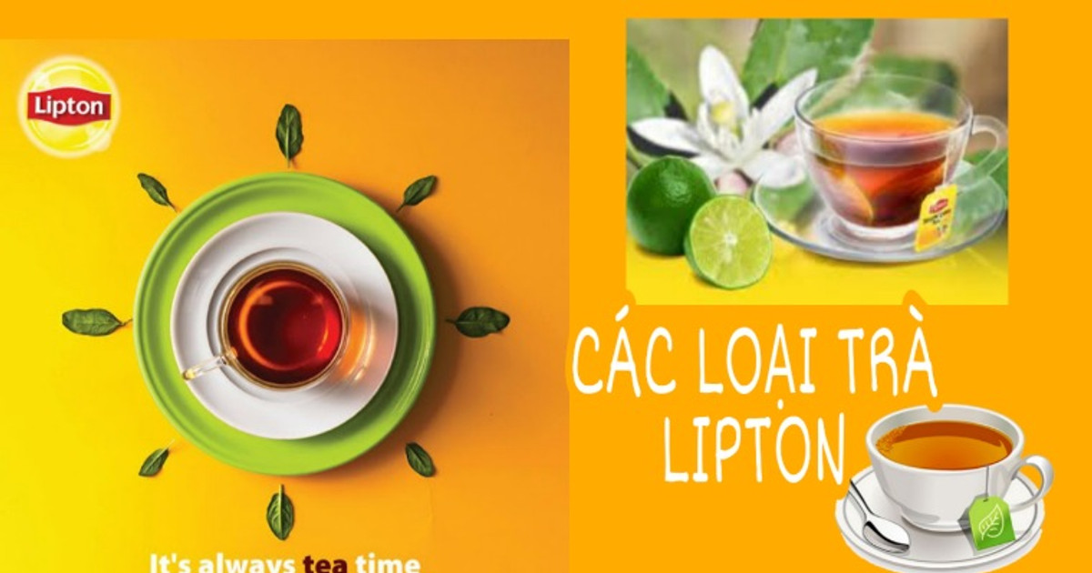 Trà Lipton có mấy loại?