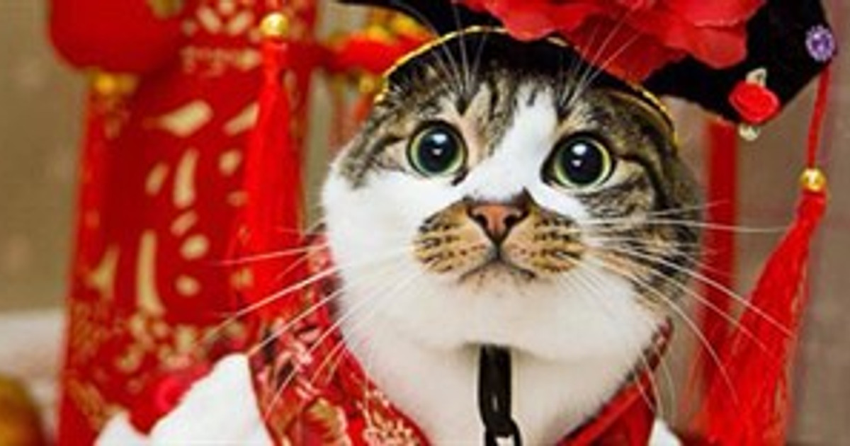 Những thứ có ý nghĩa xui xẻo không nên mua ngày đầu năm
