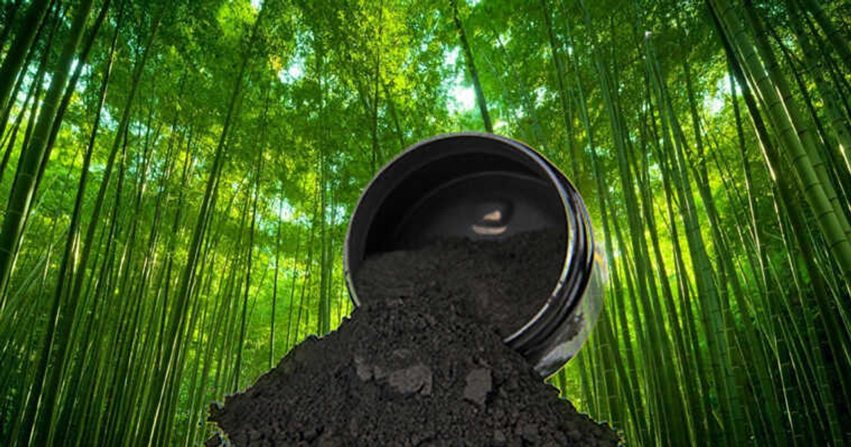 Bột than tre takesumi là gì mà người Nhật lại trân quý đến như vậy?