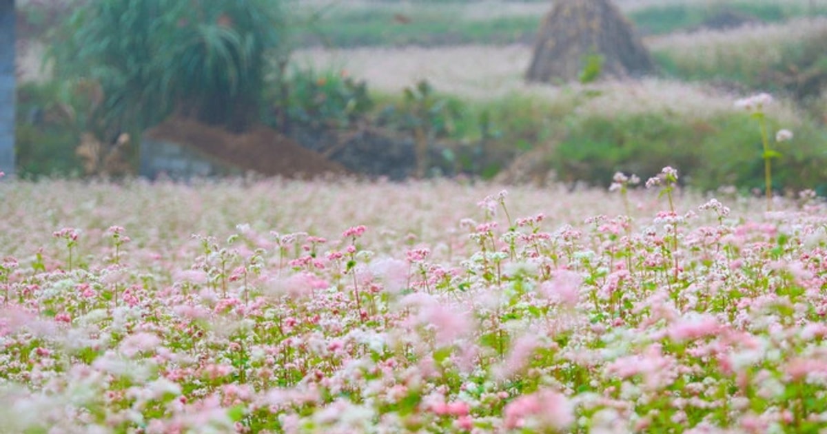 Cẩm nang du lịch Sapa Cẩm nang du lịch Sapa