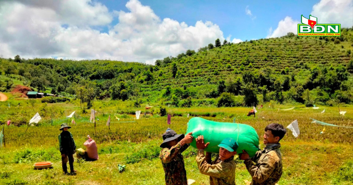 Khởi sắc bon Bu P’Râng 1