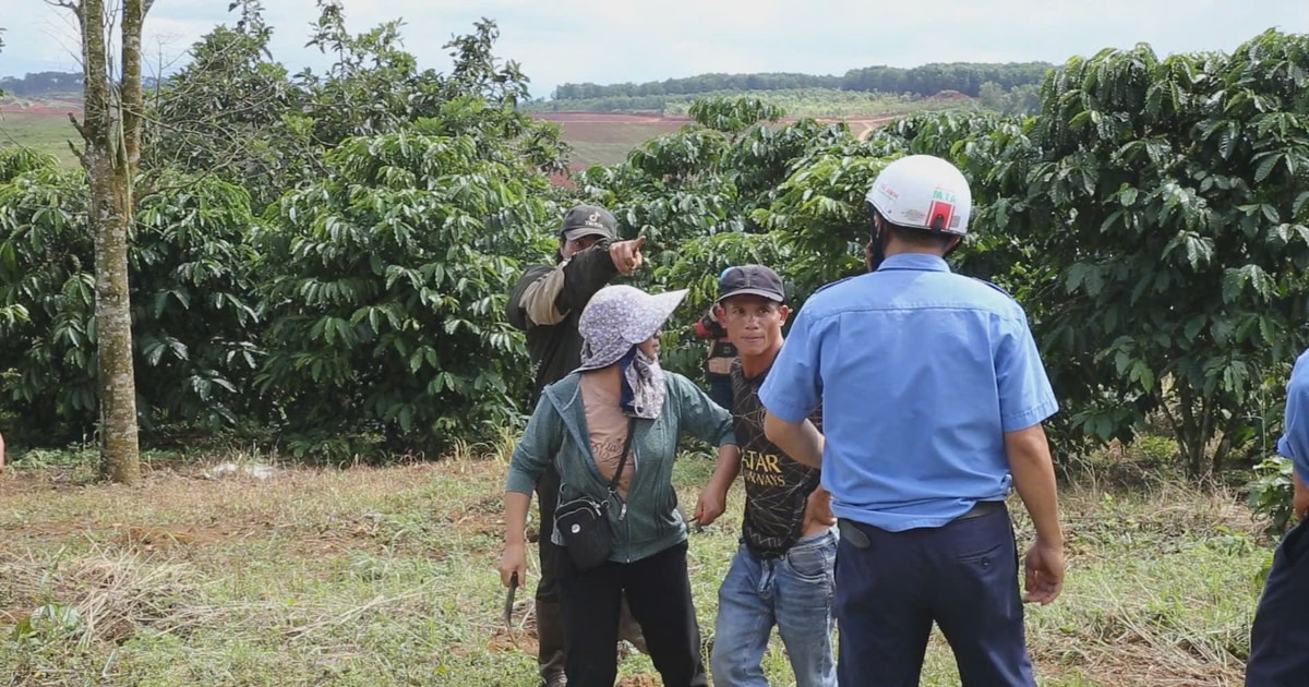 Cản trở thu hồi đất khai thác bô xít, 1 đối tượng bị khởi tố