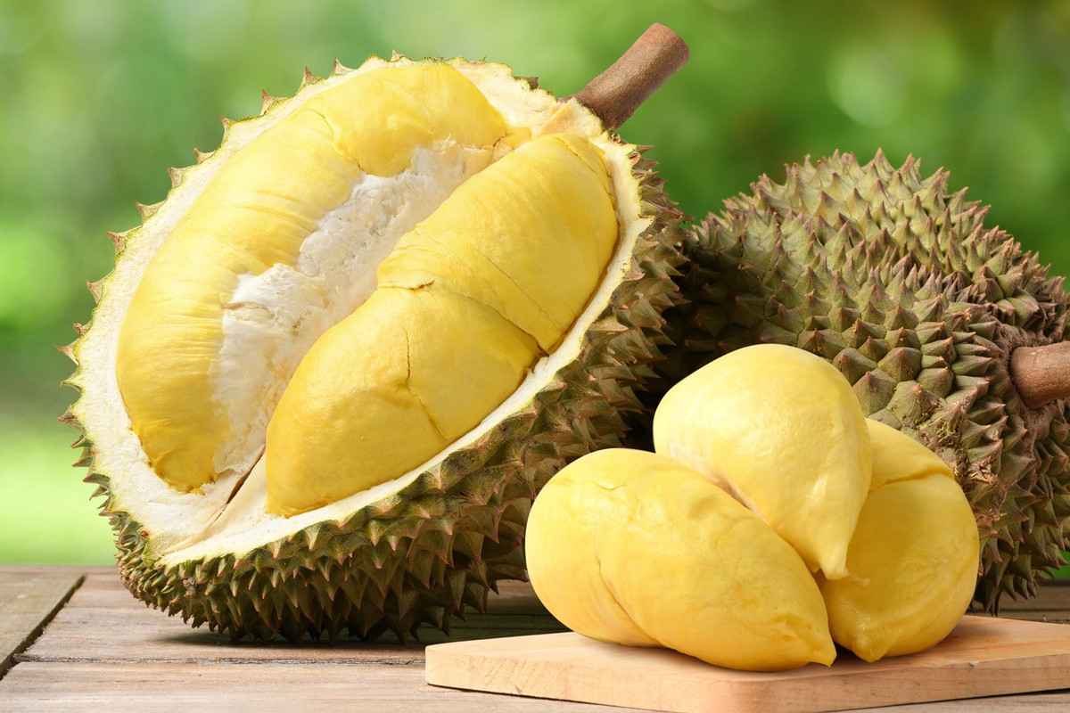 Vận Chuyển Sầu Riêng Từ Đắk Lắk Đi Thái Lan 