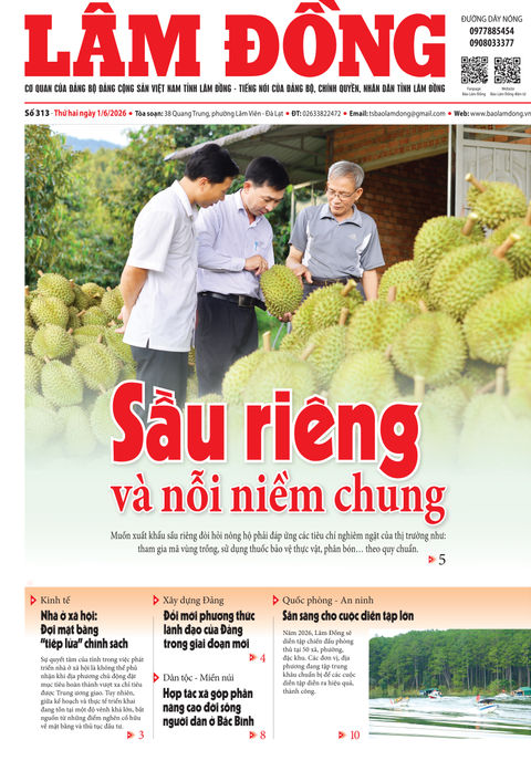 Báo Lâm Đồng (mới) số 313