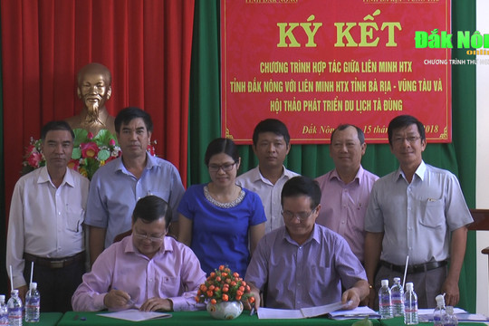 Liên minh HTX tỉnh Đắk Nông và tỉnh Bà Rịa – Vũng Tàu ký kết hợp tác