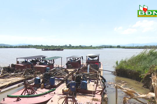 Lại có tình trạng khai thác cát trái phép ở sông Krông Nô