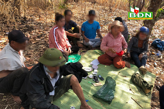 Công an huyện Đắk Mil bắt quả tang một nhóm đánh bạc dưới hình thức xóc đĩa