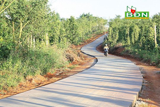 Đắk Song với mục tiêu “3 tập trung”, “2 đột phá"