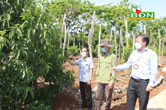 Đắk Nông dành sự quan tâm đặc biệt cho công tác cán bộ