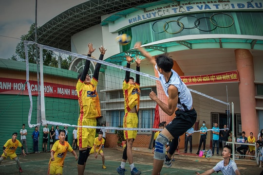 Vẻ đẹp của thể thao