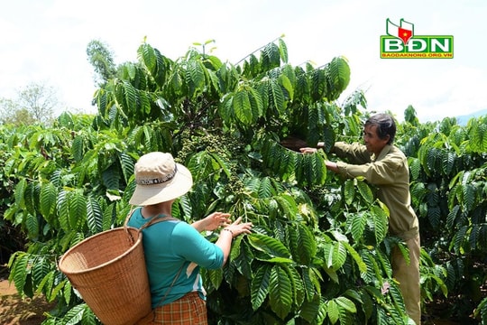 Đắk Glong phấn đấu thoát khỏi huyện nghèo