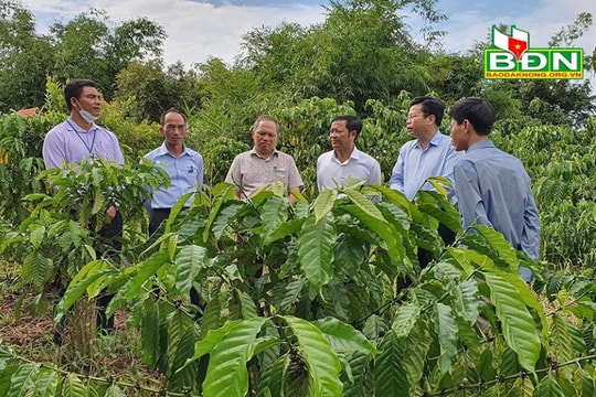 Đắk Glong phấn đấu thoát khỏi huyện nghèo (kỳ cuối): Khơi dậy tinh thần vượt khó, vươn lên