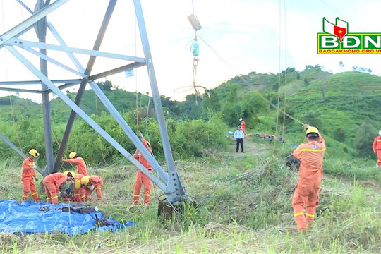 Truyền tải điện Đắk Nông thi công, bảo dưỡng, sữa chữa đường dây 220kV