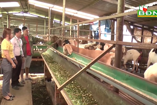 NHCSXH Đắk Mil "bà đỡ" của nông dân
