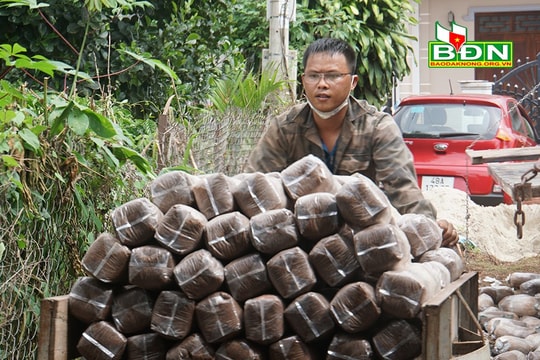"Làn gió mới" cho nông nghiệp Ðắk Nông