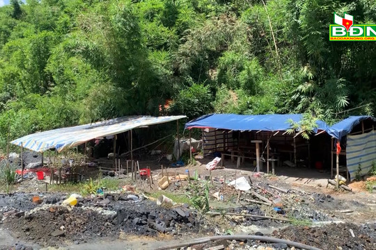 Xử lý khai thác vàng trái phép tại huyện Đắk Glong