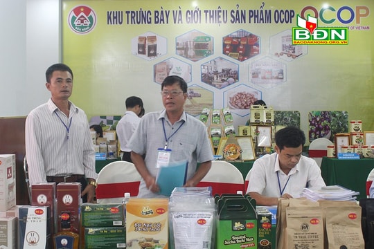 Chủ thể nòng cốt phát triển OCOP Ðắk Nông