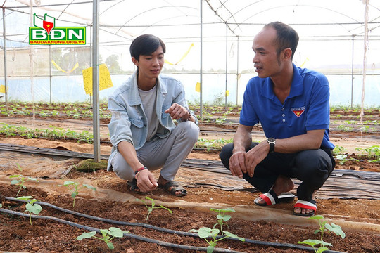 Gen Z farm 1.0 - Dự án khởi nghiệp của Ðắk Nông "lọt mắt" Trung ương Ðoàn