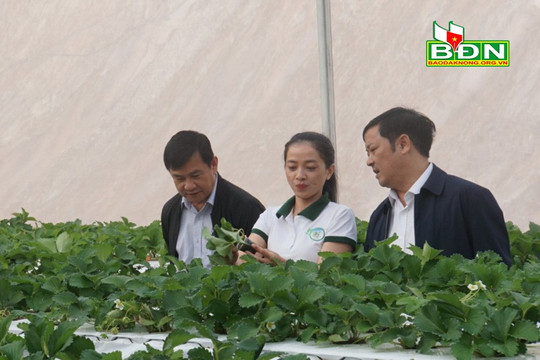 Ðắk Nông đặt trọng tâm đầu tư vào nông nghiệp công nghệ cao