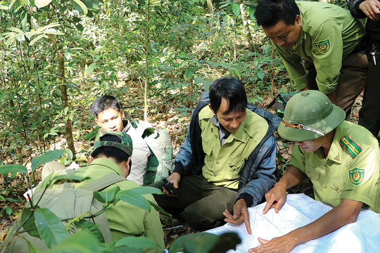 Bảo tồn đa dạng sinh học ở Nam Nung