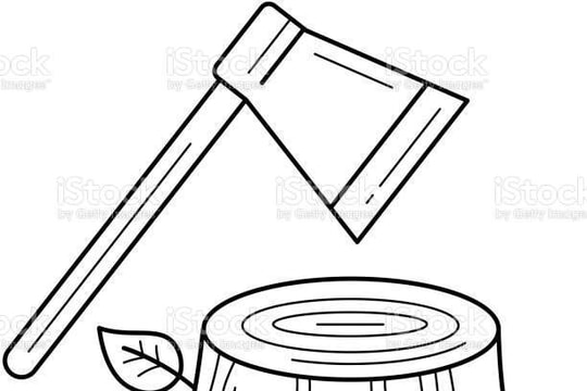 Đắk Glong phát hiện 2 vụ phá rừng trong dịp Tết 