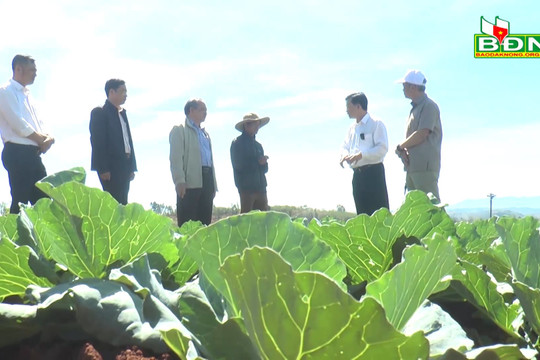 Chủ tịch UBND tỉnh thăm các HTX ở Đắk Glong