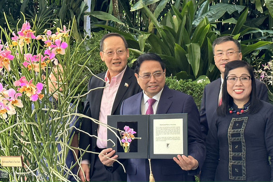 Singapore định danh loài lan mới theo tên Thủ tướng Phạm Minh Chính và phu nhân