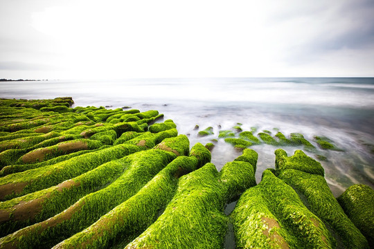 9 bãi biển nhuộm rêu khắp thế giới