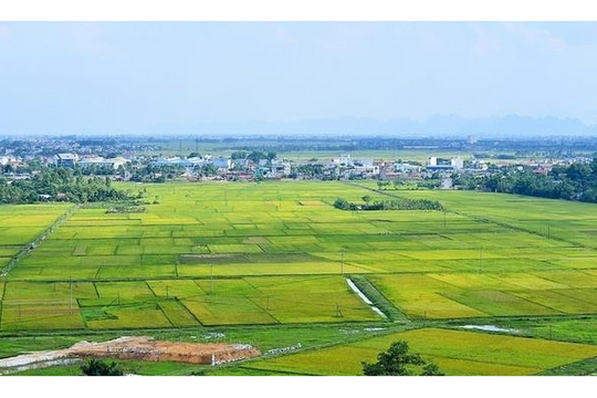Chưa triển khai lấy ý kiến dự thảo Luật Đất đai (sửa đổi) phải nghiêm túc kiểm điểm