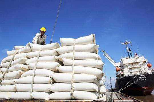 Xuất khẩu gạo sang thị trường EU tăng trưởng vượt bậc