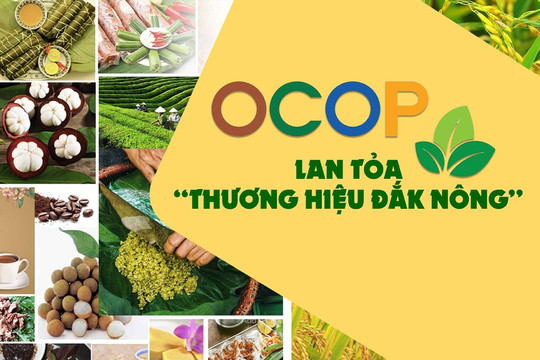 OCOP lan tỏa "thương hiệu Đắk Nông"