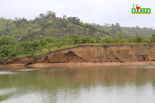 Chậm khắc phục hậu quả sạt lở bờ sông Krông Nô