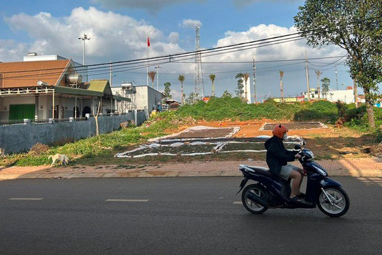 Chủ tịch UBND tỉnh Đắk Nông chỉ đạo xử lý vụ “có biệt thự vẫn đưa vào diện không có đất ở”
