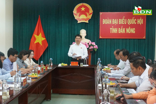 Đoàn ĐBQH tỉnh làm việc với các đơn vị cung ứng điện tại Đắk Nông