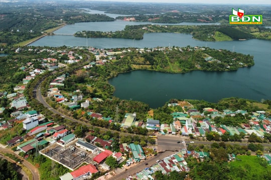 Lòng người nơi phố thị hoa vàng