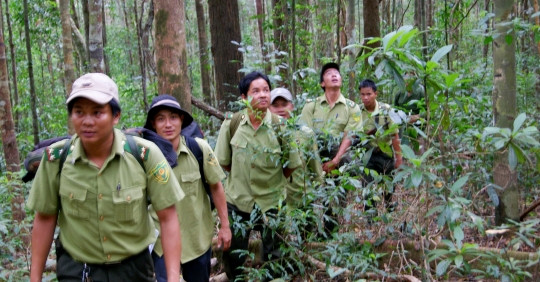 Phát triển kinh tế rừng Đắk Nông: 'Trụ đỡ' từ đề án đột phá